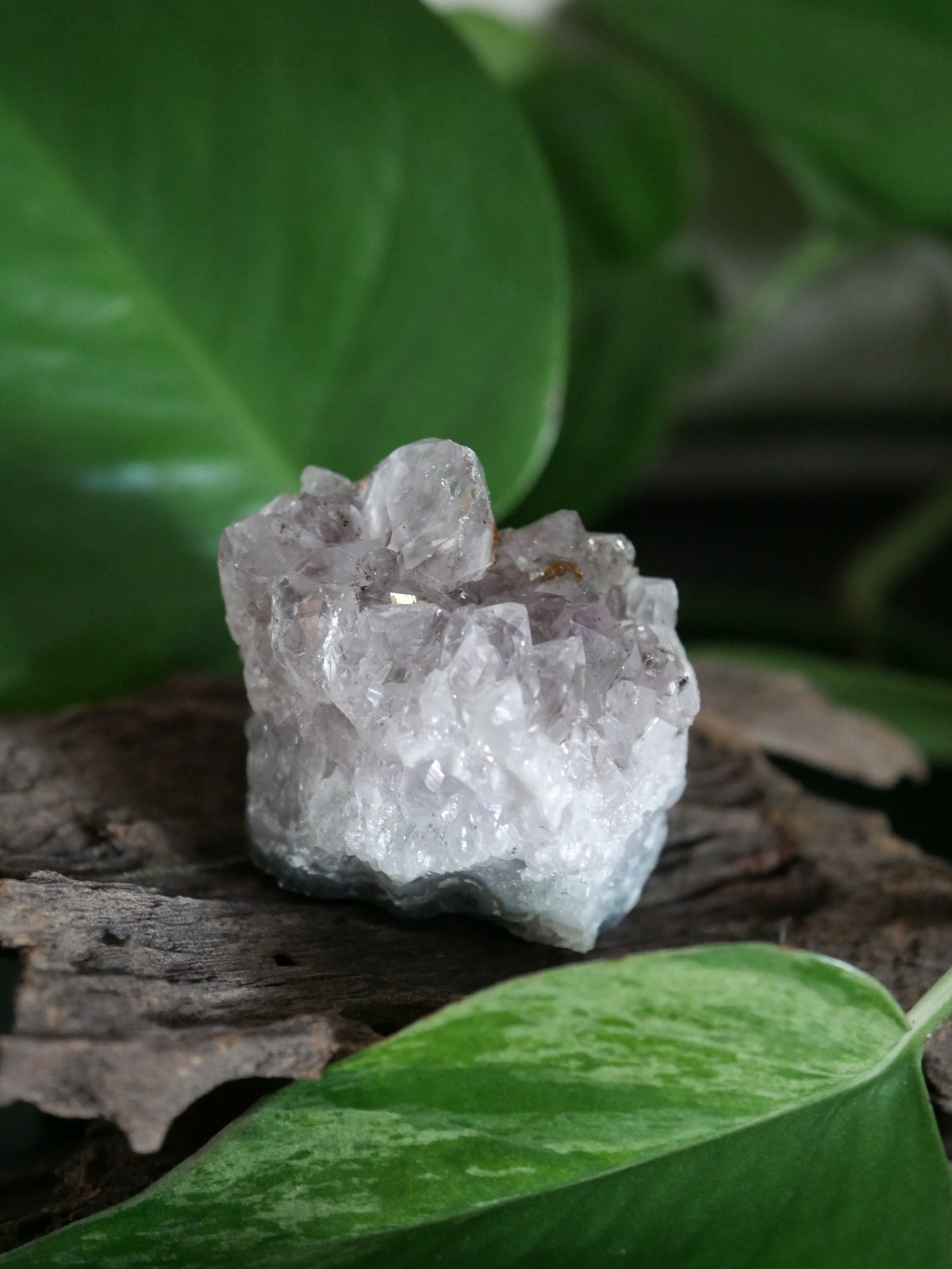 Amethystdruse Mini