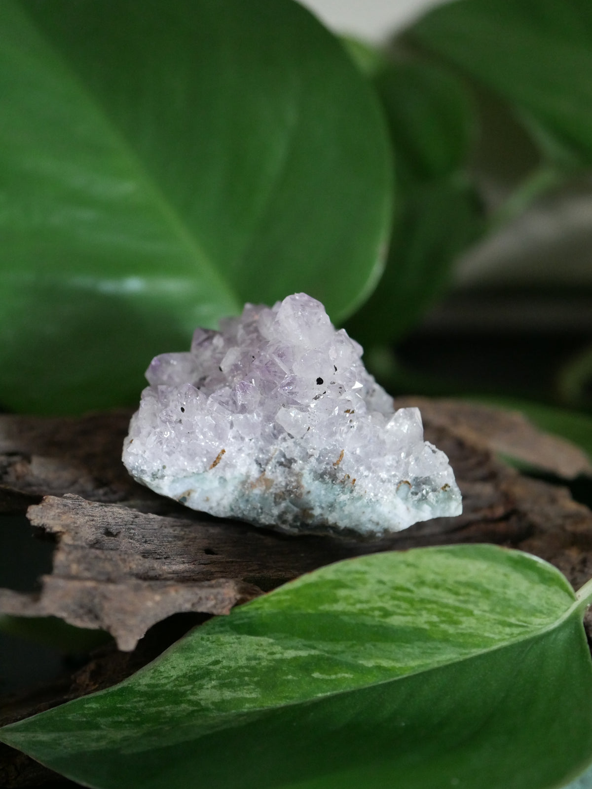 Amethystdruse Mini