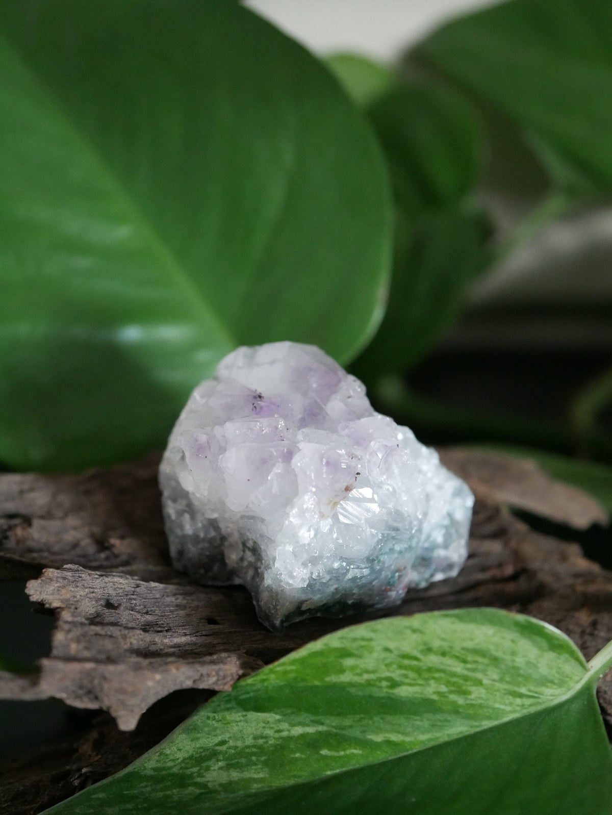 Amethystdruse Mini