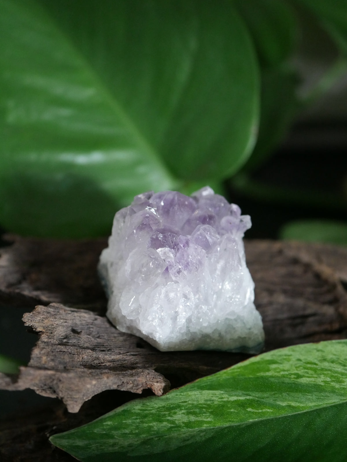 Amethystdruse Mini