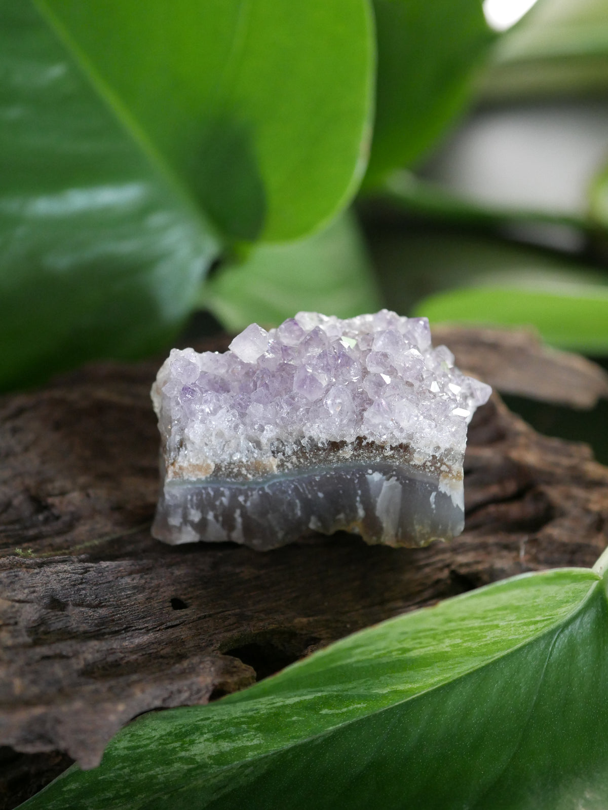 Amethystdruse Mini