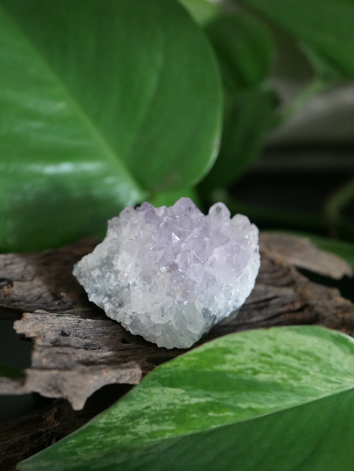 Amethystdruse Mini