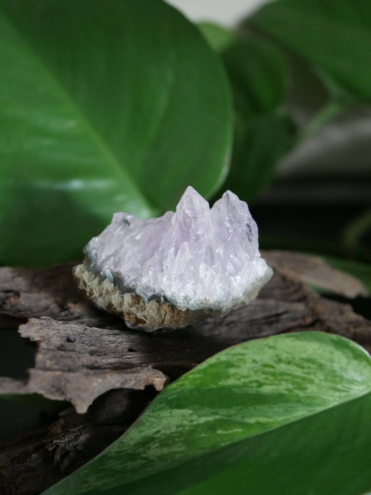 Amethystdruse Mini