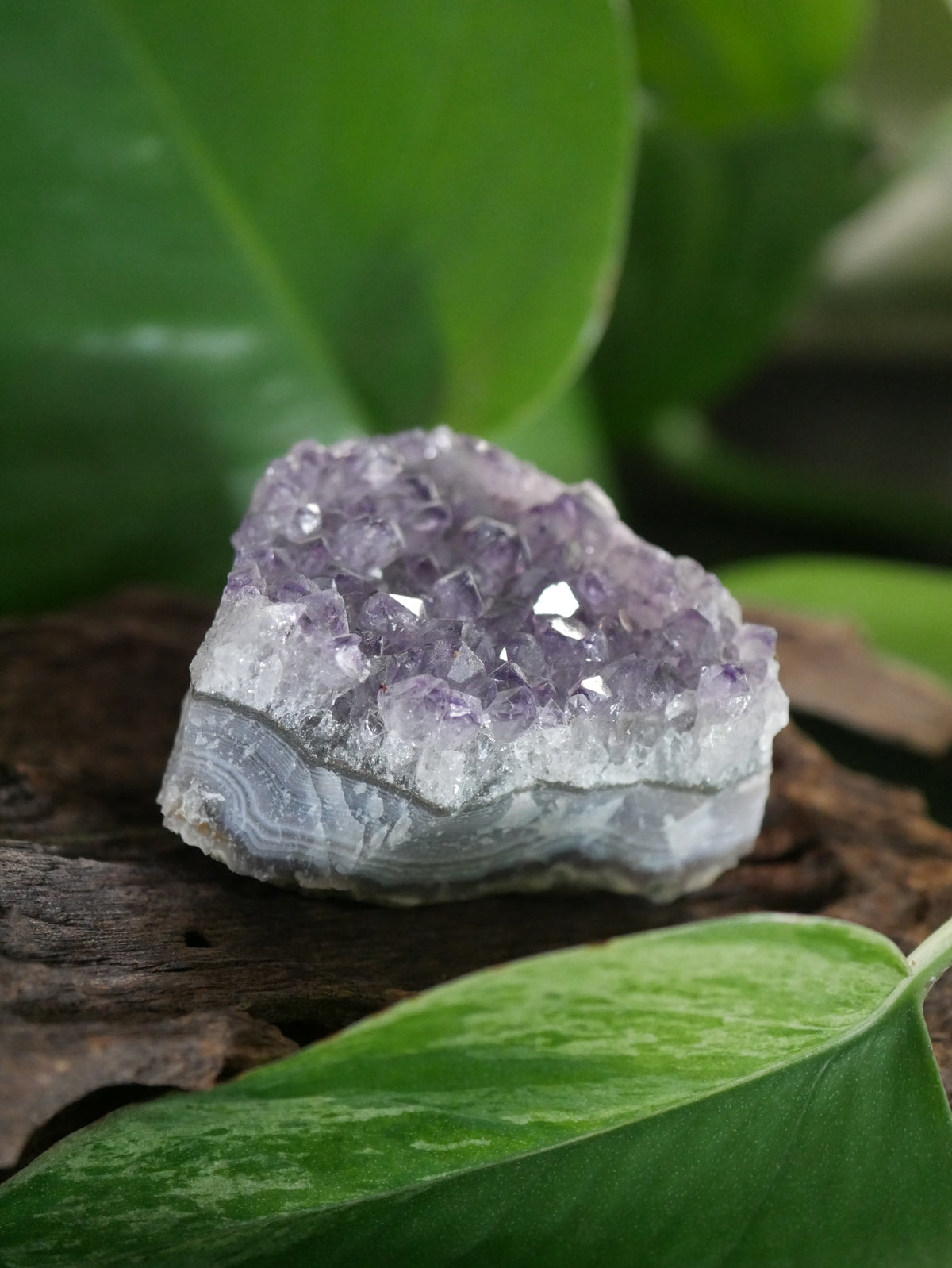 Amethystdruse Mini