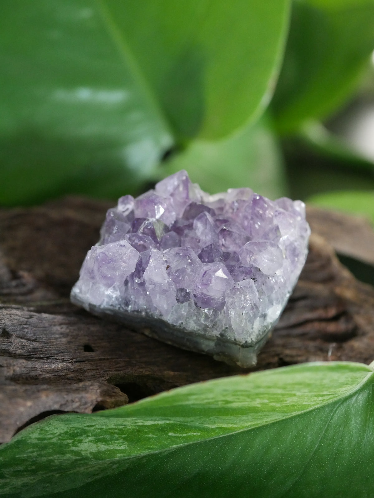 Amethystdruse Mini