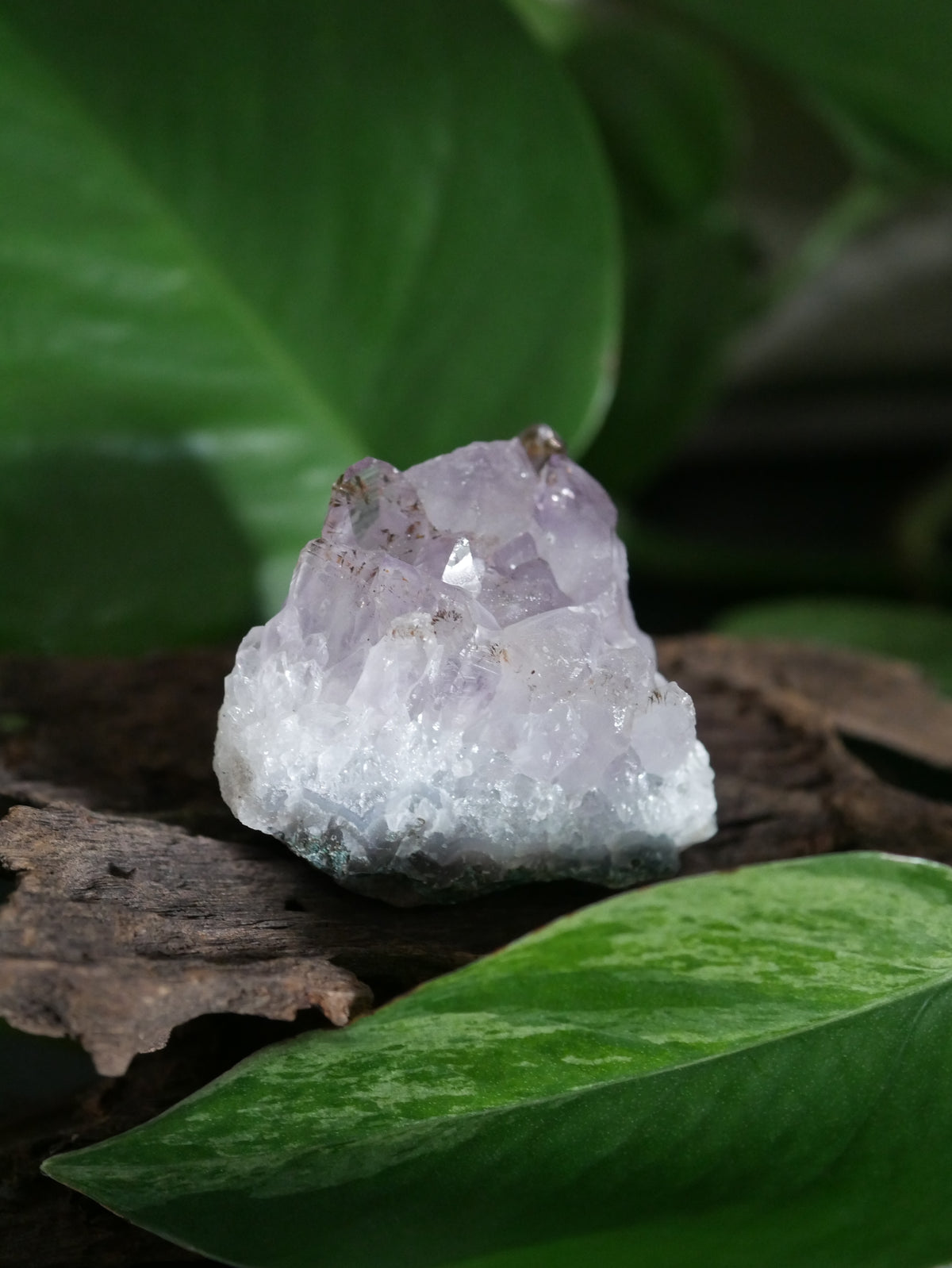 Amethystdruse Mini