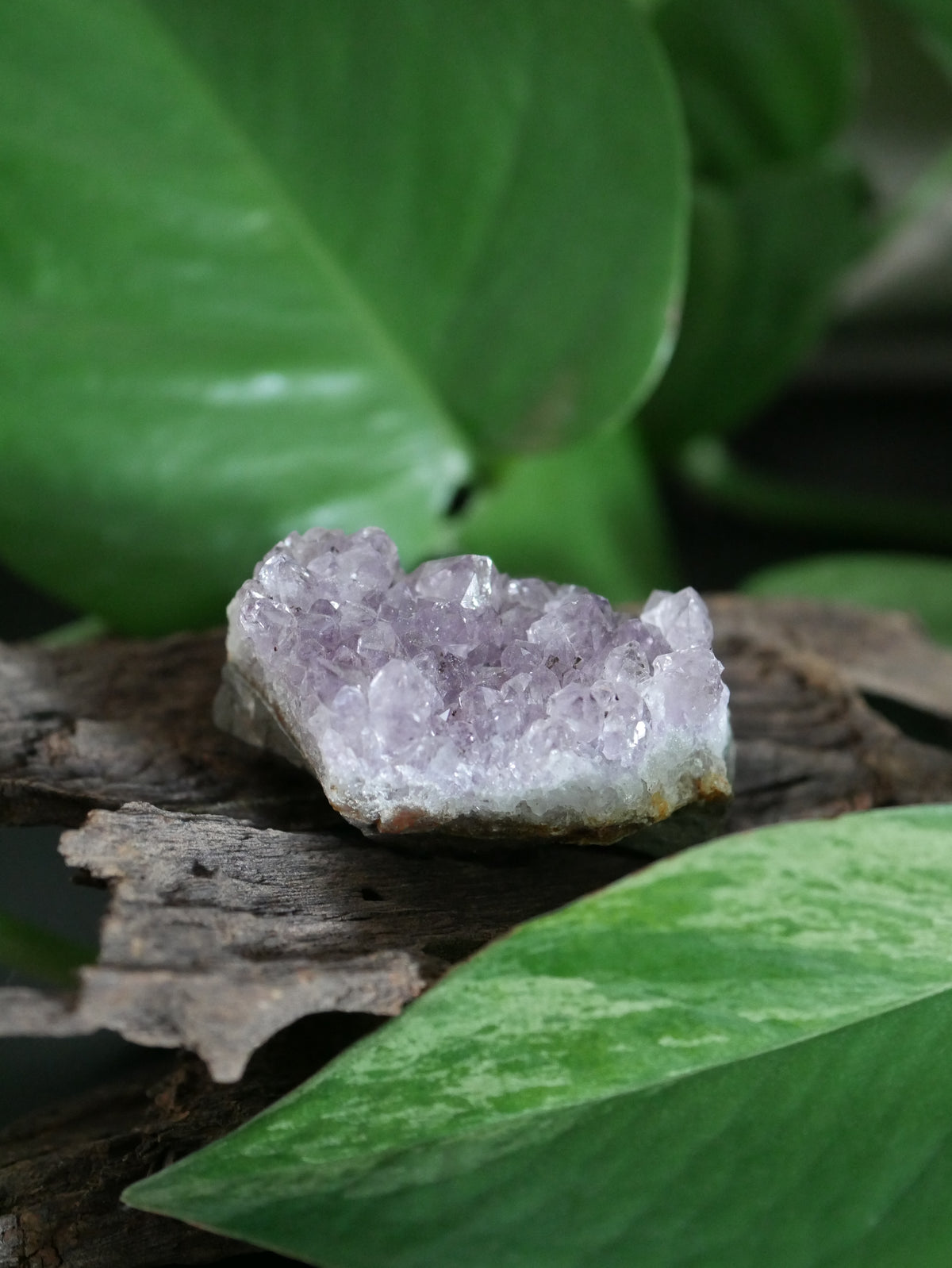 Amethystdruse Mini