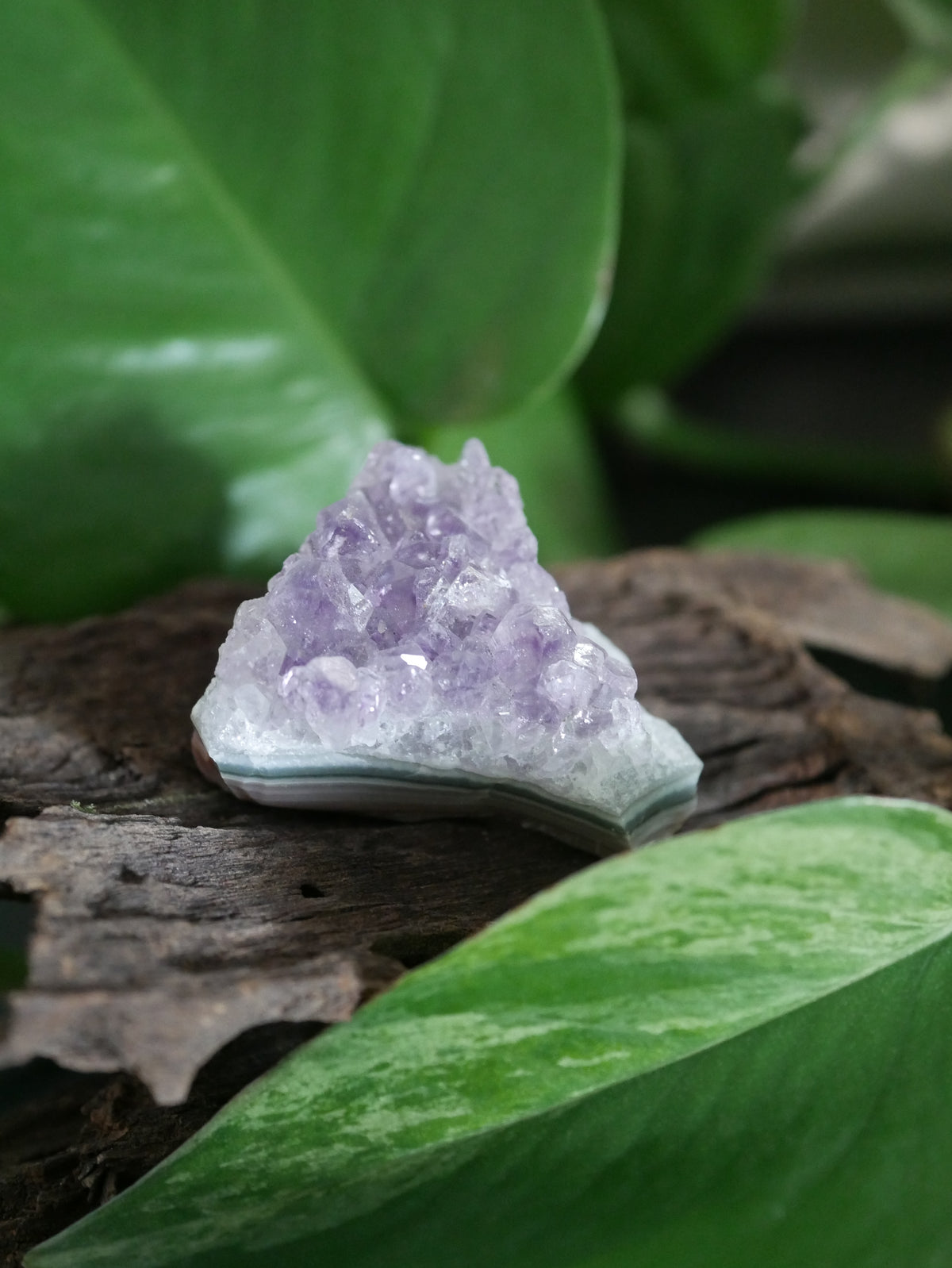 Amethystdruse Mini